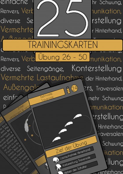 Trainingskarten Reiten Set 2