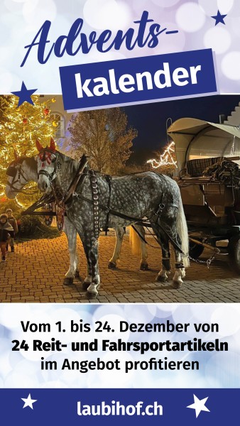 Status_Adventskalender_v01