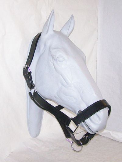 Kaltbluthalfter Leder