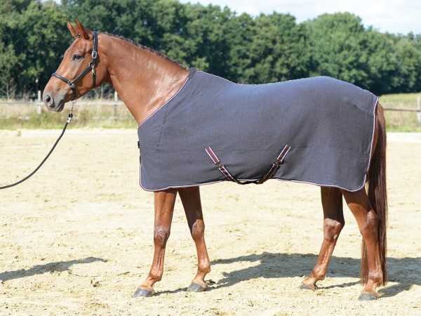 Abschwitzdecke Excellent